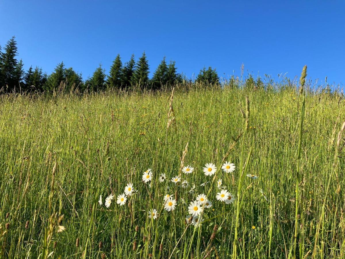 Guffertblick Villa Achenkirch Luaran gambar